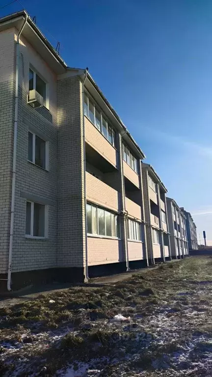 2-к кв. Брянская область, Брянский район, Отрадненское с/пос, с. ... - Фото 1