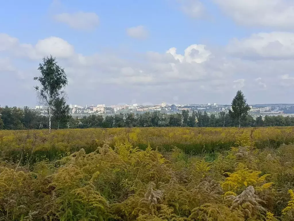 Участок в Тульская область, Тула городской округ, с. Осиновая Гора  ... - Фото 1