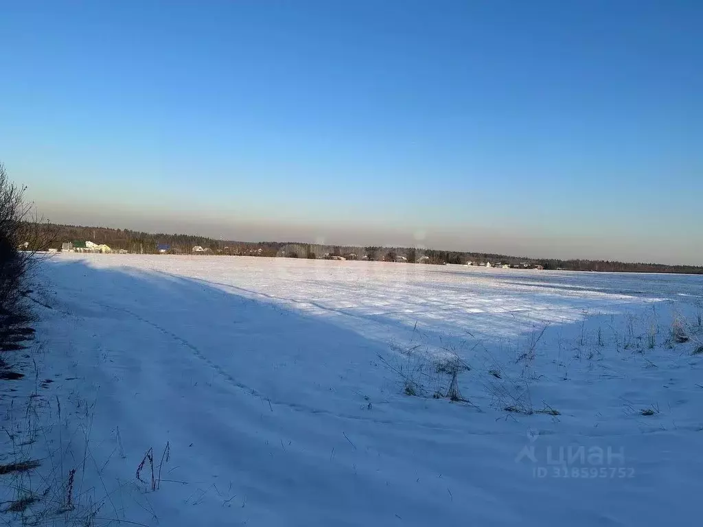 Участок в Московская область, Наро-Фоминский городской округ, д. ... - Фото 1