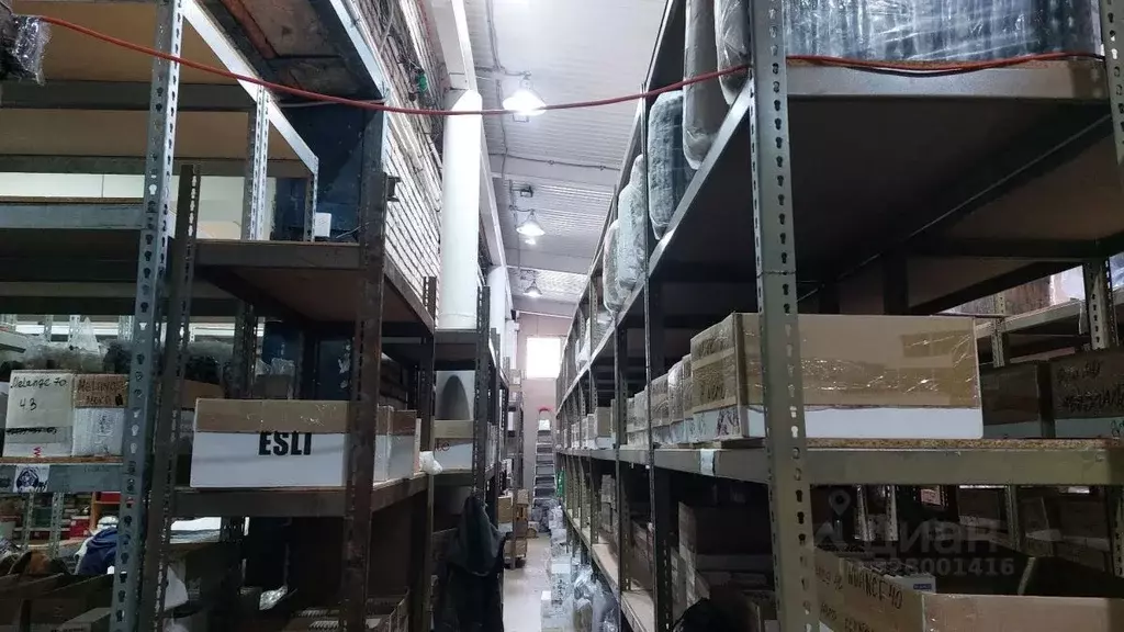 Помещение свободного назначения в Хабаровский край, Хабаровск ул. ... - Фото 2