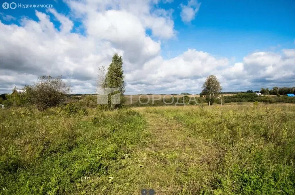 Участок в Искитимский район, посёлок Чернореченский (8 м) - Фото 2