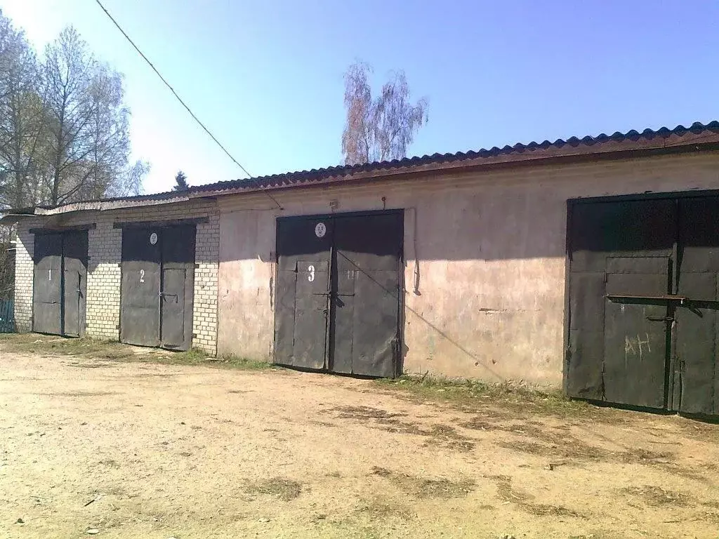 Гараж в Псковская область, Палкино рп ул. Набережная, 27 (18 м) - Фото 1