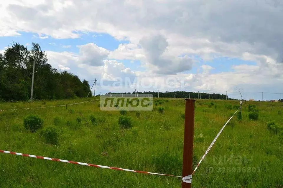 Участок в Тюменская область, Тюменский район, с. Мальково Новая ул., ... - Фото 0