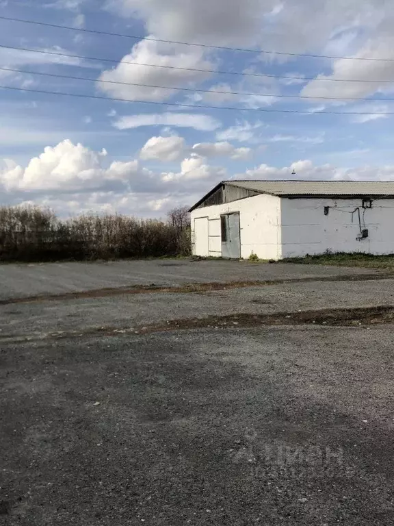 Производственное помещение в Тюменская область, с. Бердюжье ул. ... - Фото 2