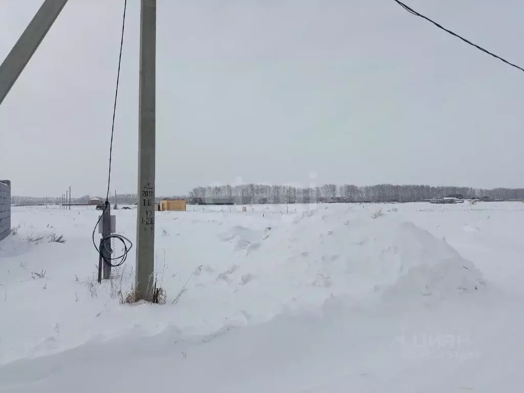 Участок в Омская область, Омский район, с. Усть-Заостровка ул. 14-я ... - Фото 0