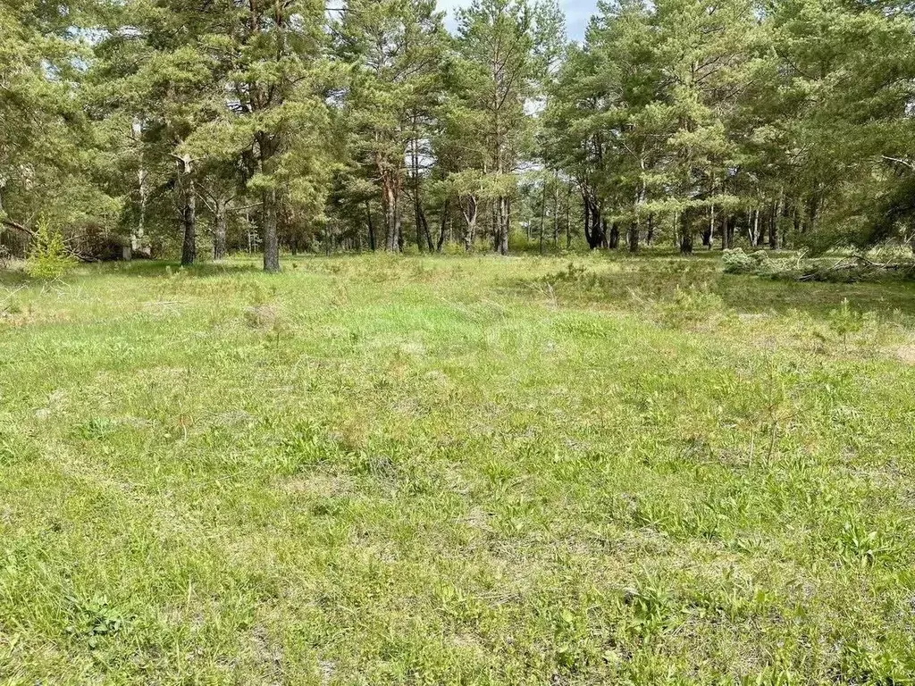 Участок в Калужская область, Дзержинский муниципальный округ, Дворцы ... - Фото 2