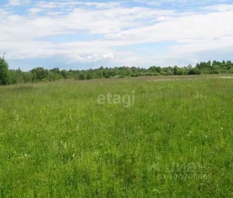 участок в смоленская область, смоленский муниципальный округ, . - Фото 0