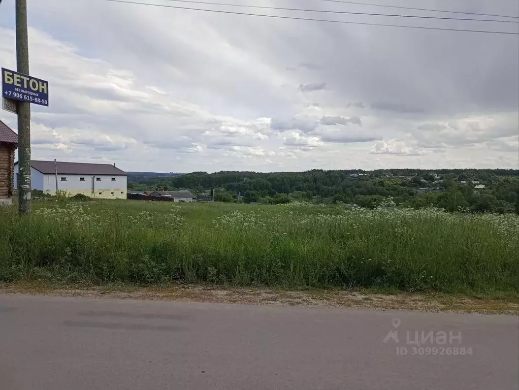 Участок в Владимирская область, Суздальский район, Новоалександровское ... - Фото 1