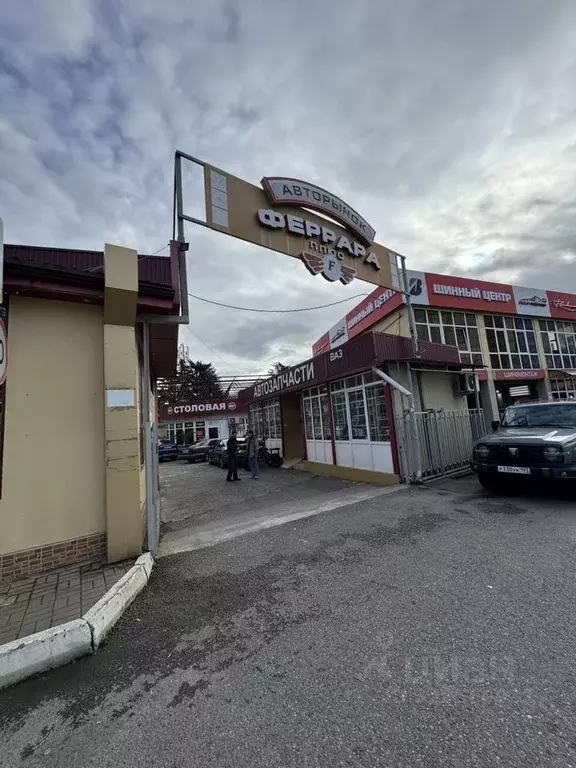 Помещение свободного назначения в Краснодарский край, Сочи ул. ... - Фото 2