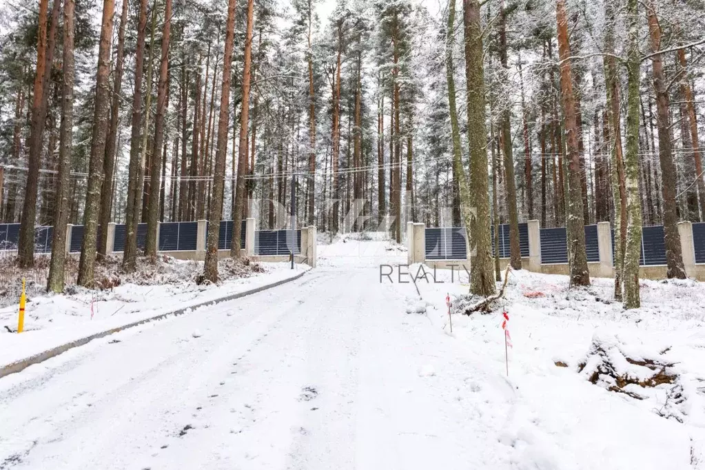 Участок в Ленинградская область, Всеволожский район, Куйвозовское ... - Фото 1