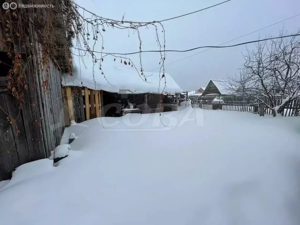 Дом в Тюменский муниципальный округ, село Онохино (42 м) - Фото 2
