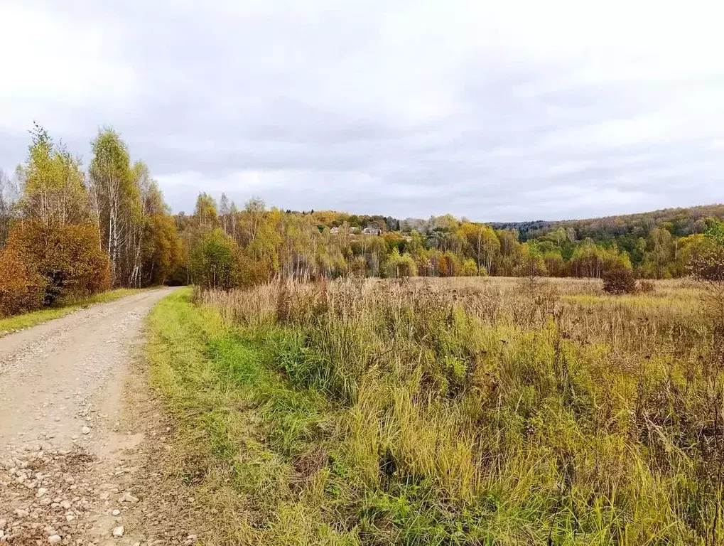 Участок в Калужская область, Город Калуга городской округ, д. Матюнино ... - Фото 1