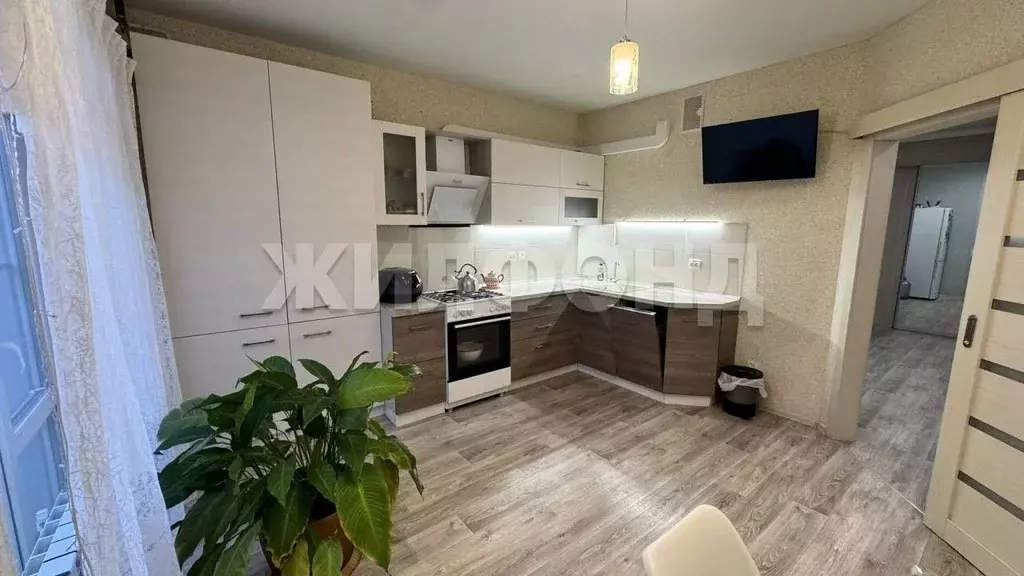 2-к кв. Белгородская область, Белгородский район, Дубовское с/пос, с. ... - Фото 2