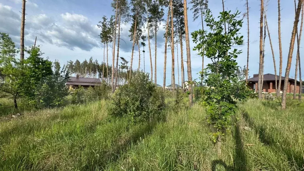 Участок 10 сот. (ИЖС) - Фото 1