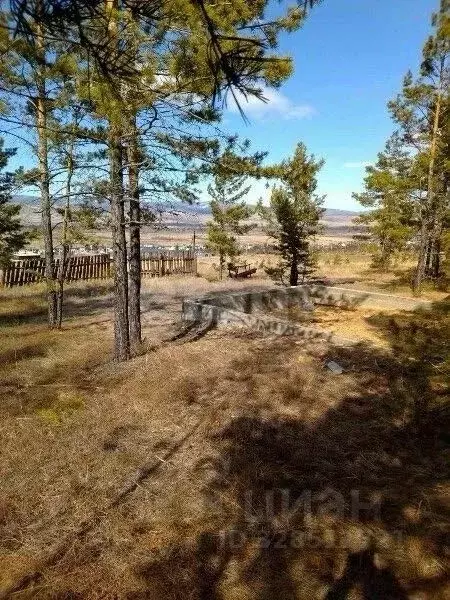 Участок в Бурятия, Заиграевский район, Талецкое с/пос, Восток ДНТ 16 ... - Фото 1