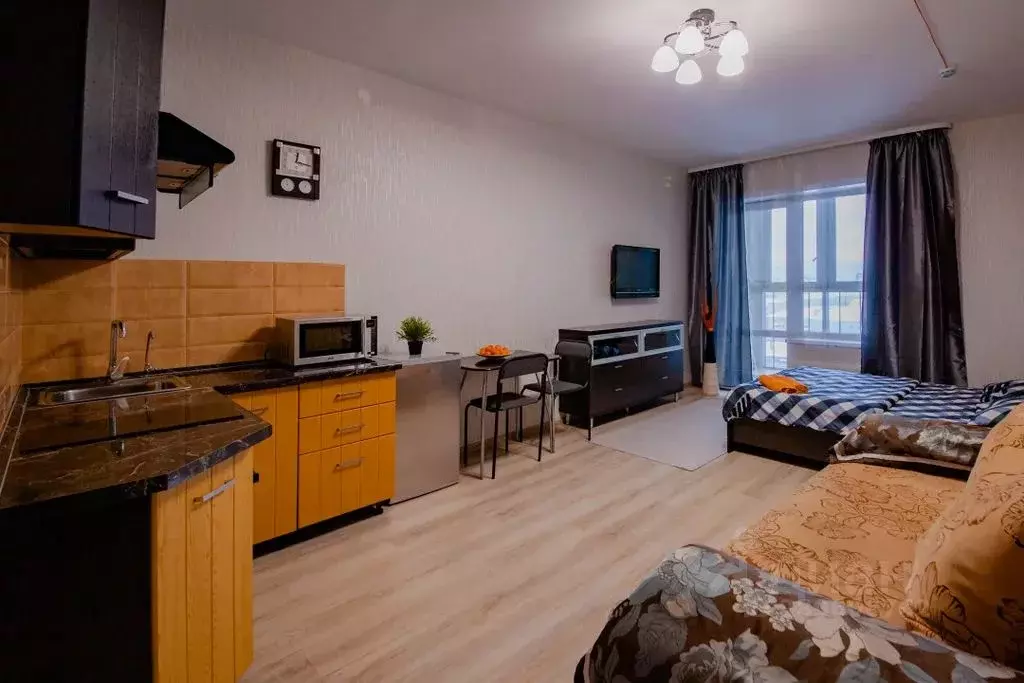 Студия Пермский край, Пермь ул. Революции, 48А (45.0 м) - Фото 1