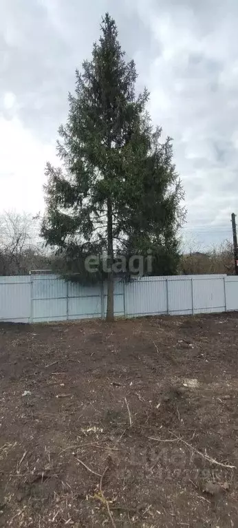 Участок в Воронежская область, Воронеж Железнодорожник-2 СНТ, ул. 27-я ... - Фото 1