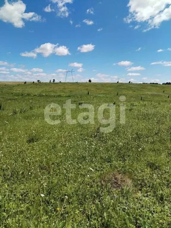 Участок в Тульская область, Тула муниципальное образование, с. Теплое ... - Фото 1