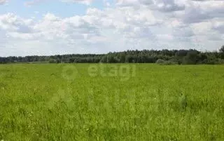 Участок в Новосибирская область, Искитимский район, Шибковский ... - Фото 1