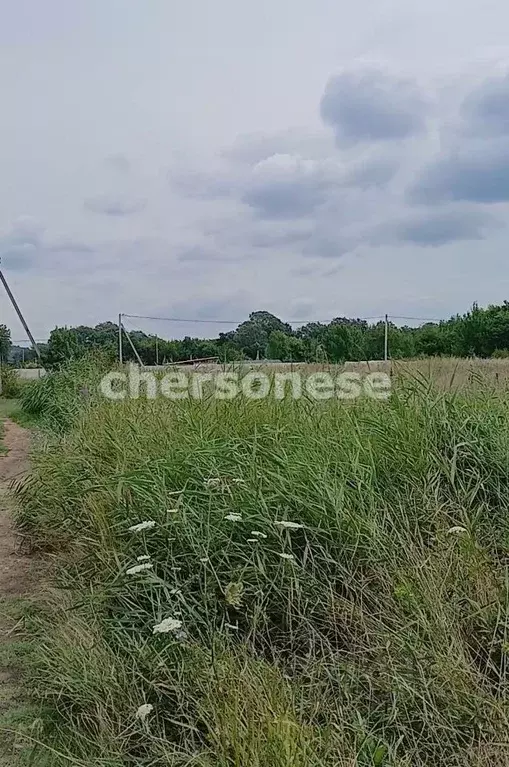 Участок в Севастополь с. Фруктовое, ул. Пушкина (4.5 сот.) - Фото 2