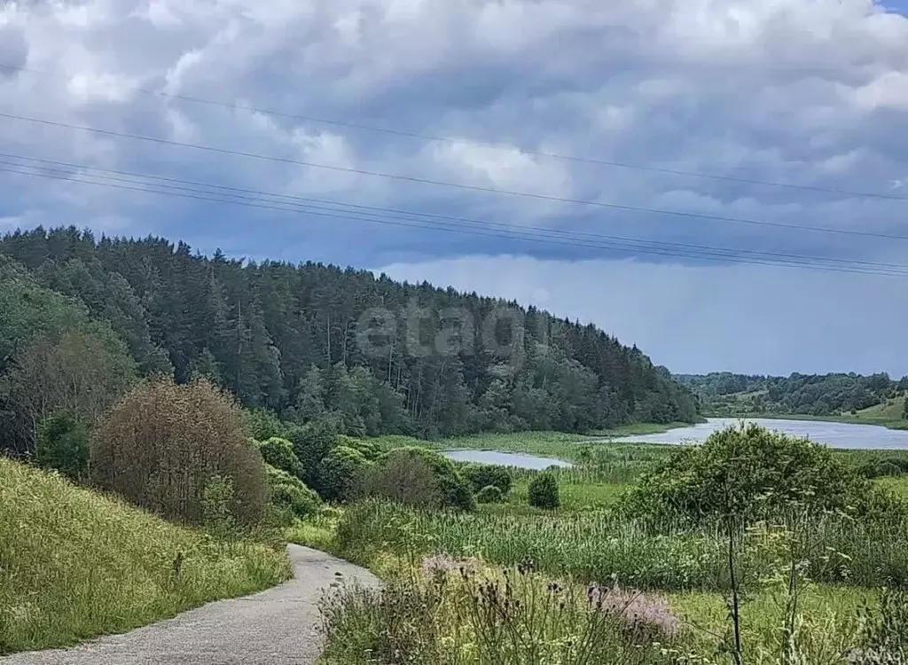 Участок в Псковская область, Печорский муниципальный округ, д. ... - Фото 1