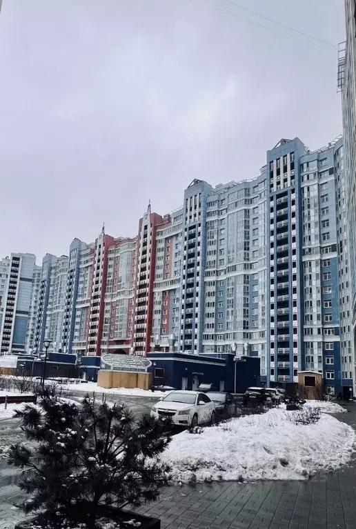 1-к кв. Санкт-Петербург просп. Просвещения, 43 (36.6 м) - Фото 1