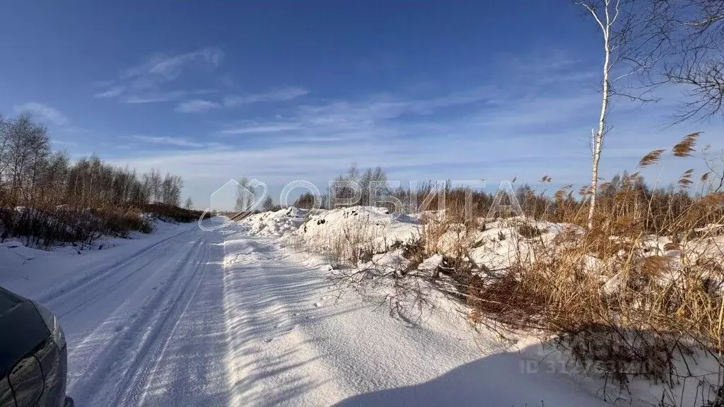 Участок в Тюменская область, Тюменский район, Янтарное ДНТ ул. ... - Фото 1