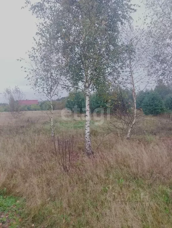 Участок в Псковская область, Печорский муниципальный округ, д. ... - Фото 1