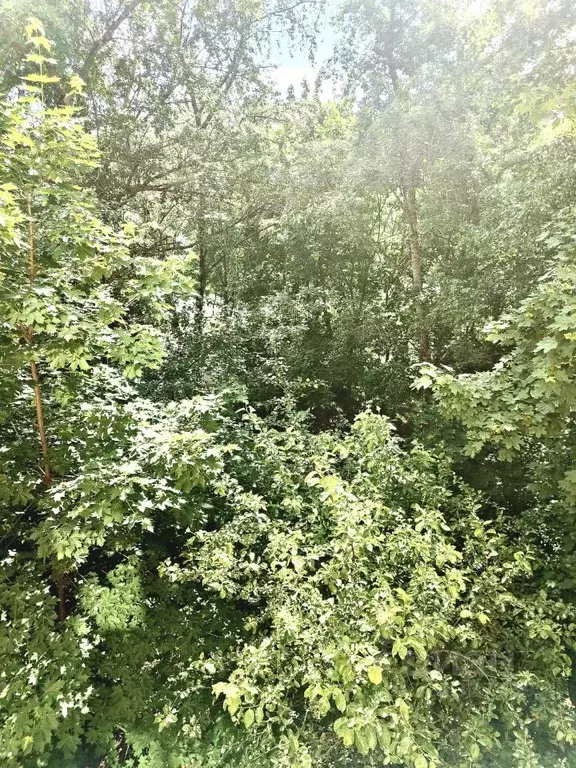 3-к кв. Санкт-Петербург просп. Народного ополчения, 125 (41.8 м) - Фото 1
