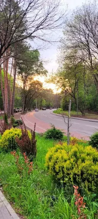 2-к кв. Ставропольский край, Кисловодск проезд Цандера, 8 (50.0 м) - Фото 2