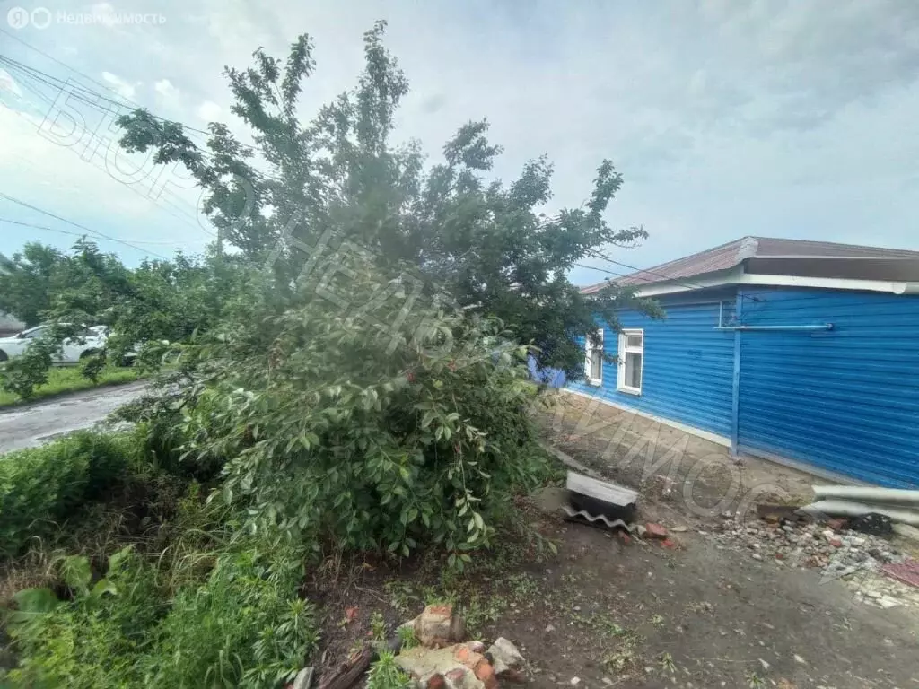 Дом в Балашов, улица Тараканова, 5 (40 м) - Фото 1