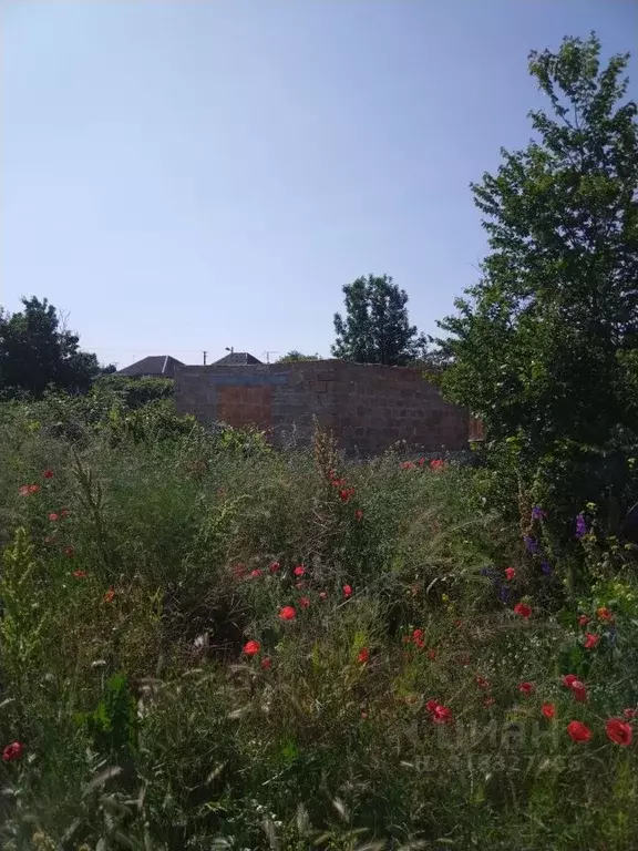 Участок в Крым, Ленинский район, с. Войково ул. Колхозная (9.0 сот.) - Фото 1