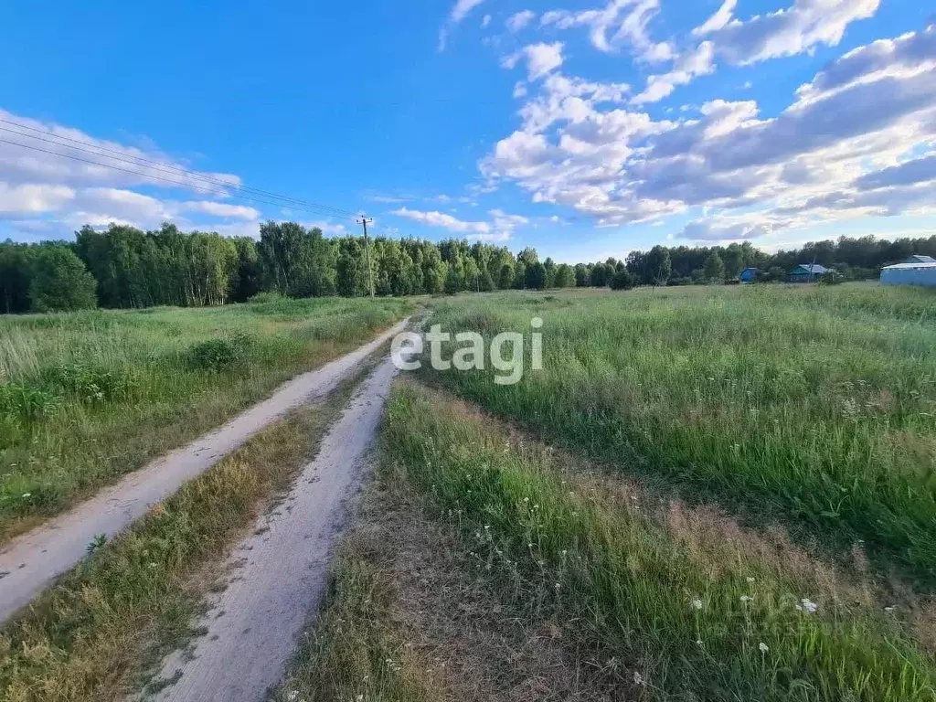 Участок в Владимирская область, Покров городской округ, д. Барсково ... - Фото 1