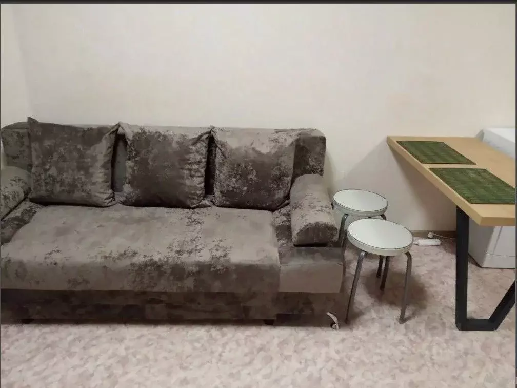 Студия Пермский край, Пермь ул. Вильямса, 51А (25.0 м) - Фото 2