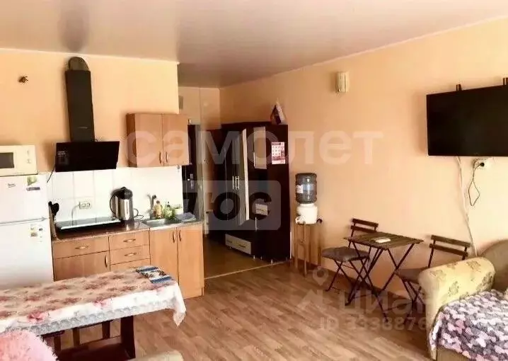 Студия Крым, Сакский район, с. Молочное ул. Южная, 70 (20.0 м) - Фото 2