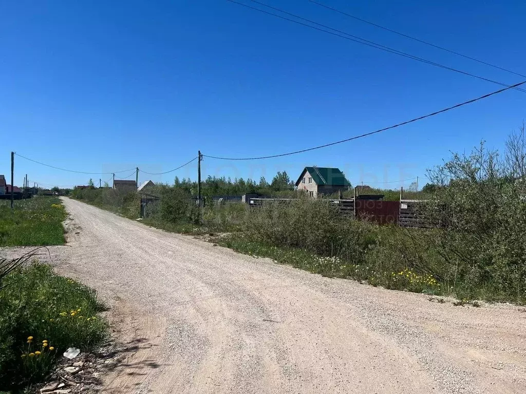 Участок в Новгородская область, Новгородский район, Борковское с/пос, ... - Фото 2