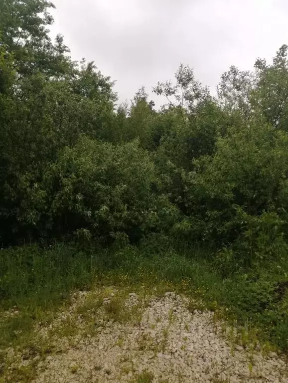 Участок в Московская область, Куровское Орехово-Зуевский городской ... - Фото 2