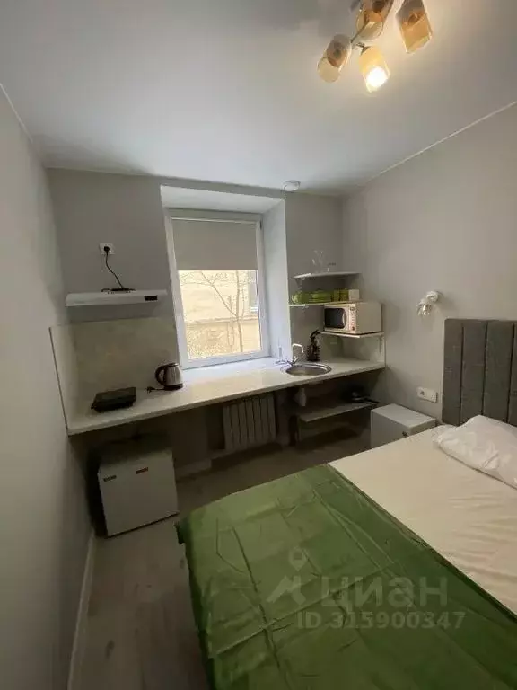 Студия Санкт-Петербург Пушкинская ул., 15 (17.0 м) - Фото 1