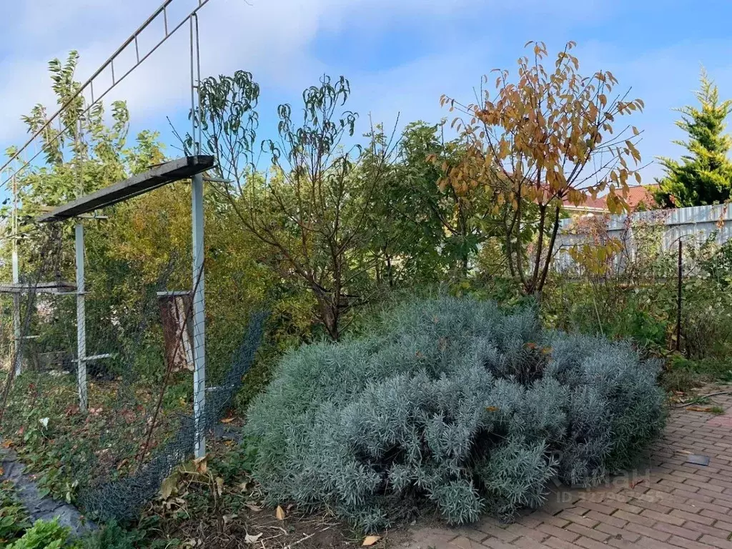 Участок в Краснодарский край, Анапа муниципальный округ, с. Супсех ул. ... - Фото 1