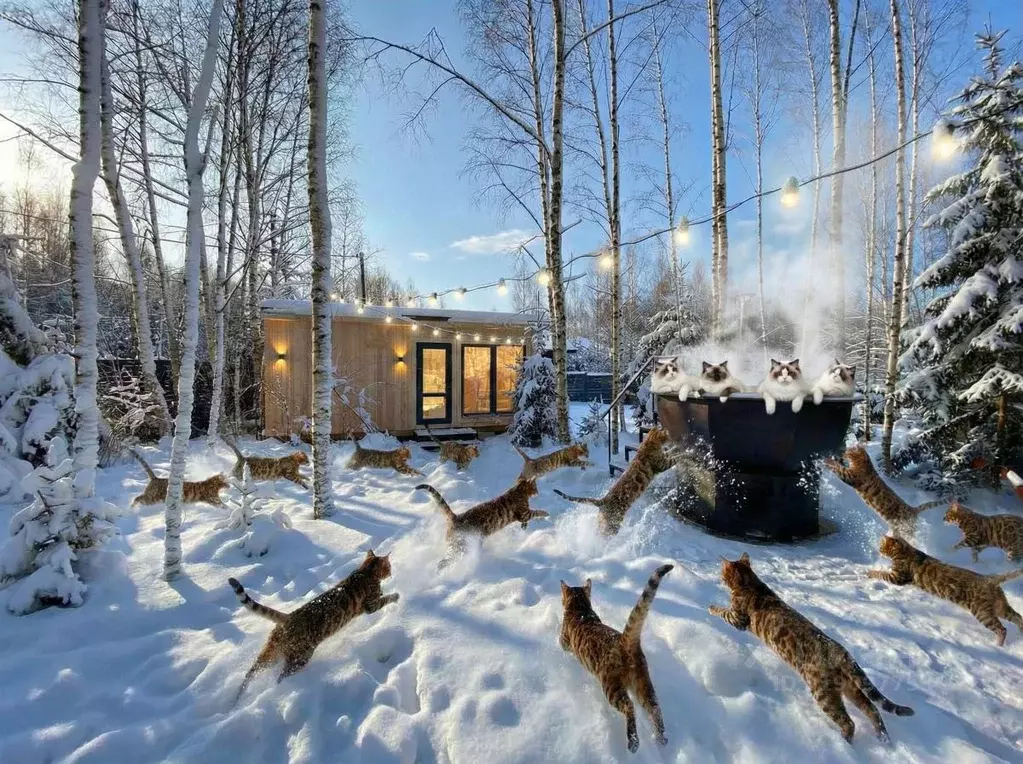 Дом в Московская область, Клин городской округ, ДНП Радости Парк 1 ... - Фото 1