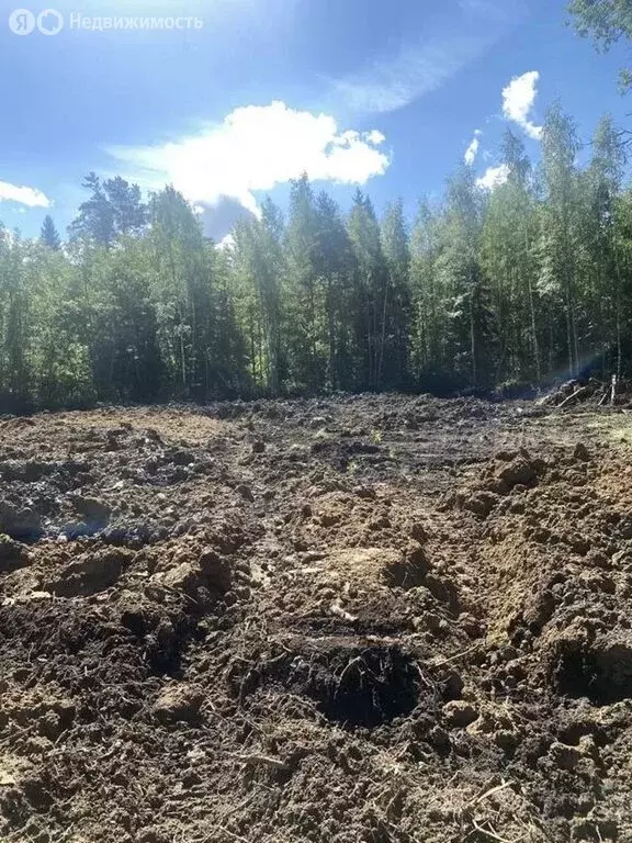 Участок в Ломоносовский район, Лебяженское городское поселение, ... - Фото 2