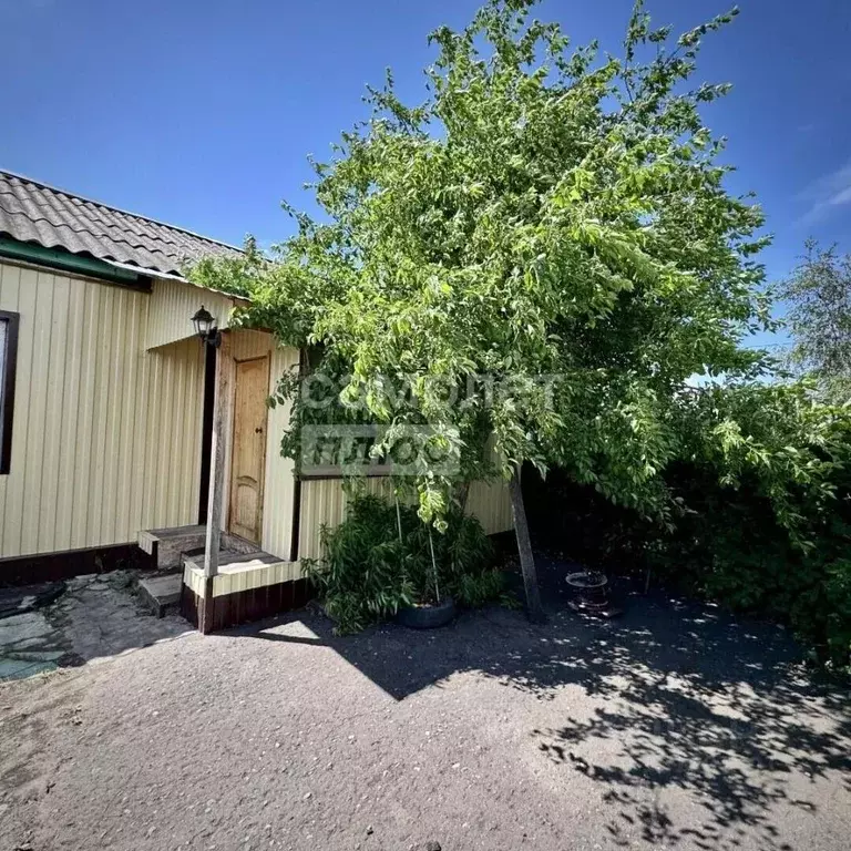 Дом в Омская область, Крутинка рп ул. Ленина, 12Б (80 м) - Фото 2