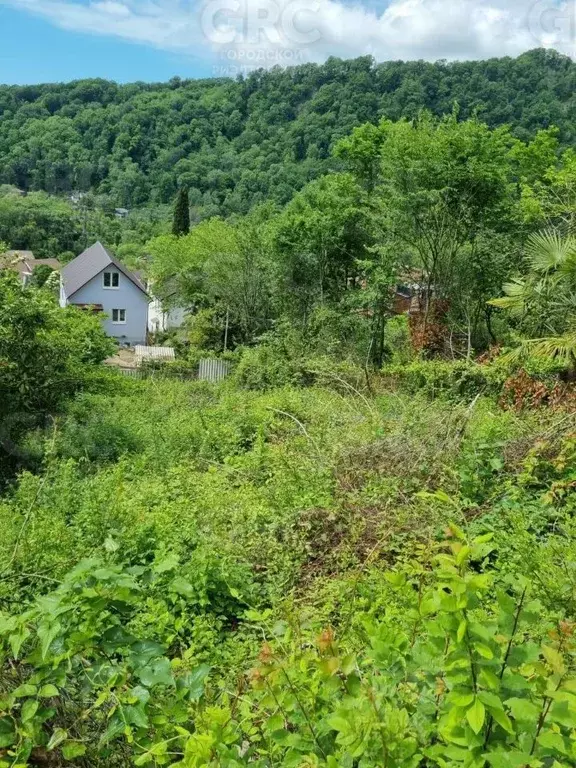 Участок в Краснодарский край, Сочи Кипарисовая ул. (3.6 сот.) - Фото 1