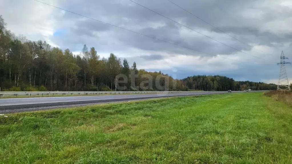 Участок в Ярославская область, Ярославский муниципальный округ, ... - Фото 1
