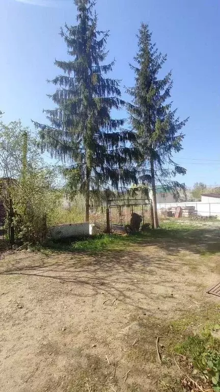 Участок 8 сот. (СНТ, ДНП) - Фото 1