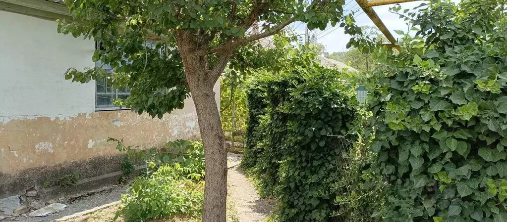 Участок в Крым, Бахчисарайский район, с. Каштаны ул. Виноградная, 10А ... - Фото 1