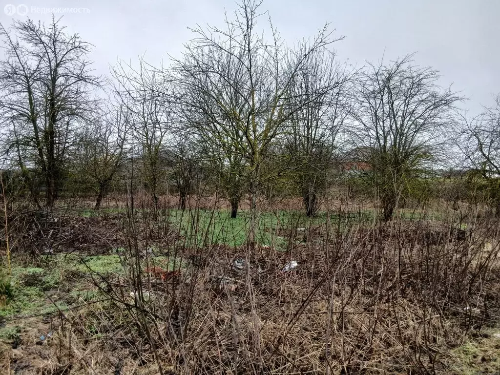 Участок в посёлок городского типа Ахтырский, улица Лескова (10 м) - Фото 2