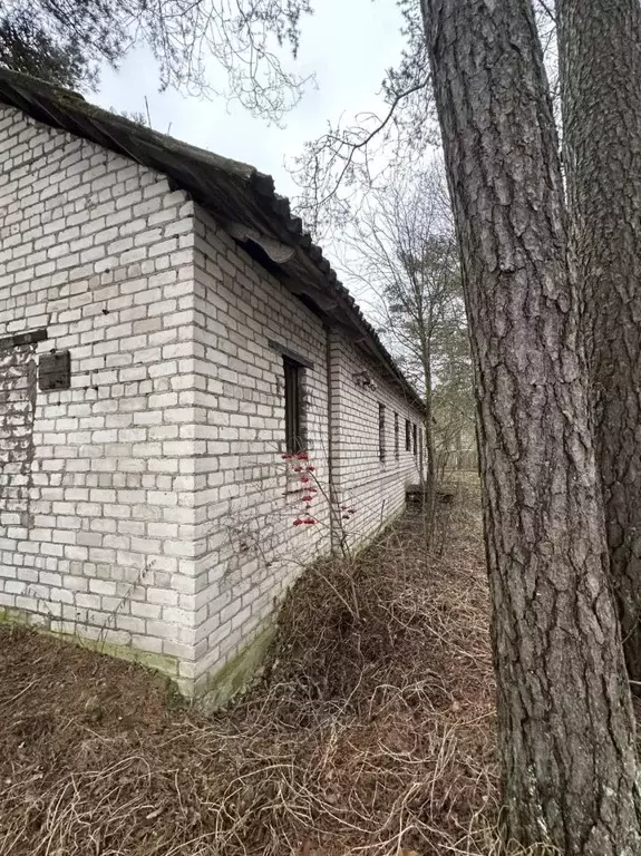 Помещение свободного назначения в Псковская область, Псков Лужская ... - Фото 0