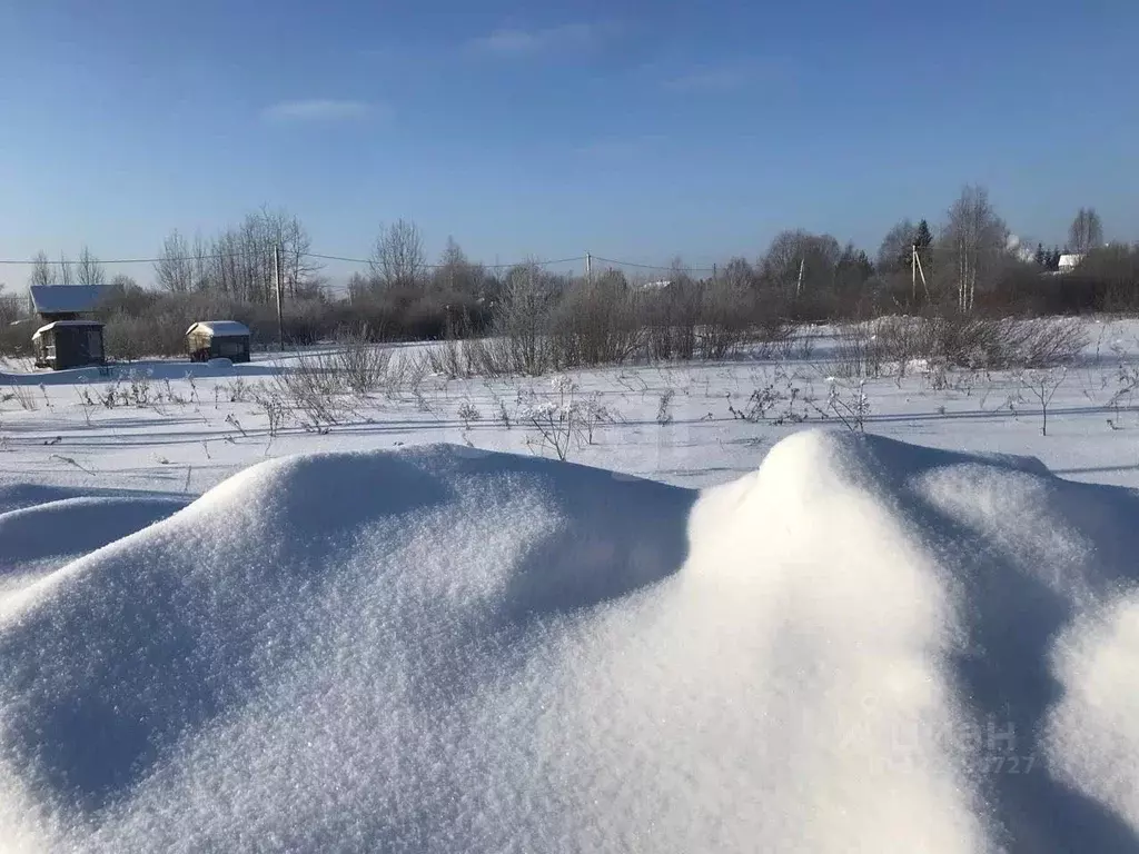 Участок в Вологодская область, Вологда Чайка садоводческое ... - Фото 2