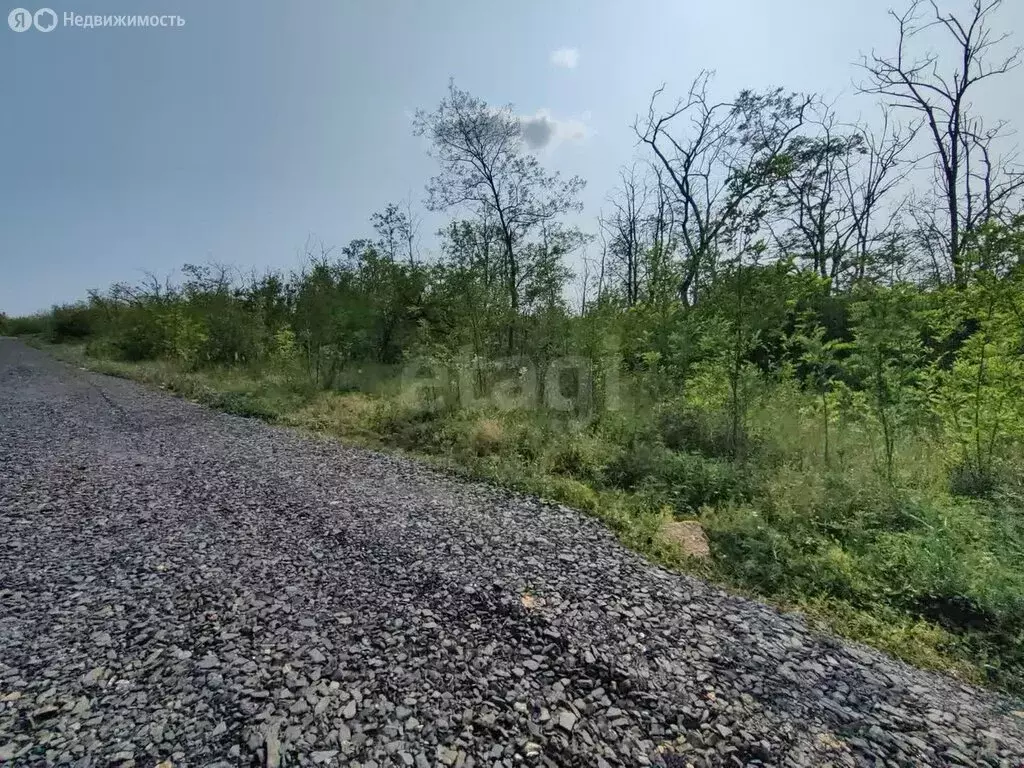Участок в Родионово-Несветайский район, Кутейниковское сельское ... - Фото 0